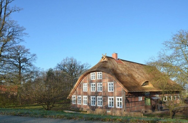 Holiday home Deichkind on the Elbe dike