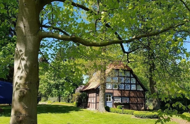 Holiday home for 2 guests with 120m² in Rotenburg-Borchel (186095)
