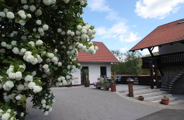 Holiday Home 'Felsenblick' with Mountain View, Shared Terrace and Shared Garden