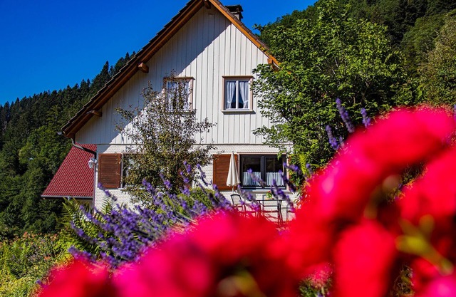 Holiday Home 'Ferienhaus Niedermättle' with Mountain View, Private Terrace and Wi-Fi
