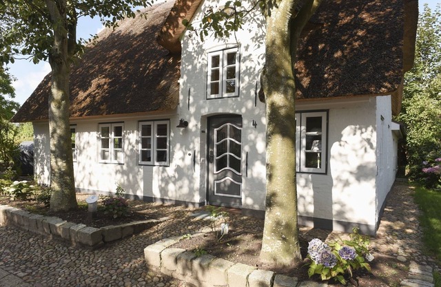 Holiday home for 5 guests with 85m² in Oevenum (52106)