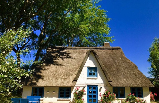 Holiday home for up to 10 people near Büsum & St. Peter Ording dogs welcome
