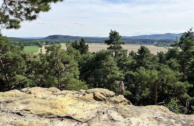 Holiday home Harz insider tip