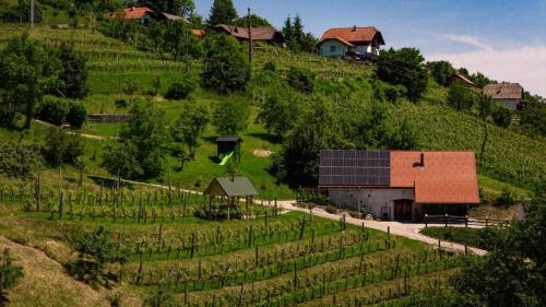 Holiday home in Otocec Kranjska Krain 42907