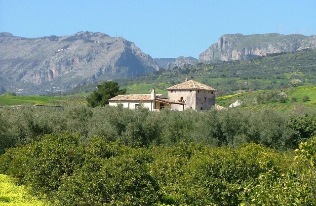 Holiday home in Stilo with garden