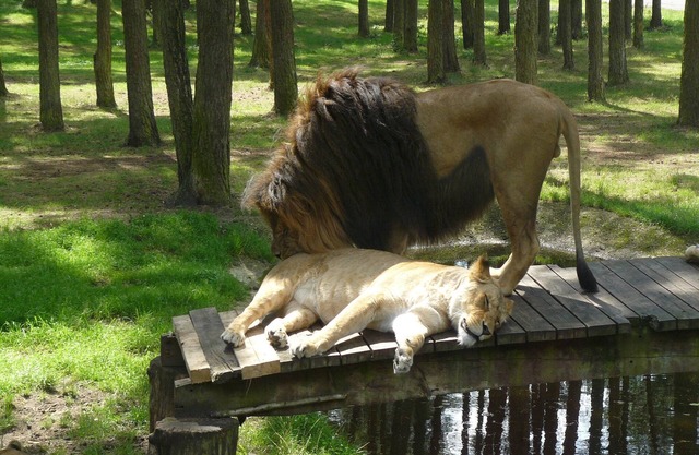 Holiday home in the Lüneburg Heath