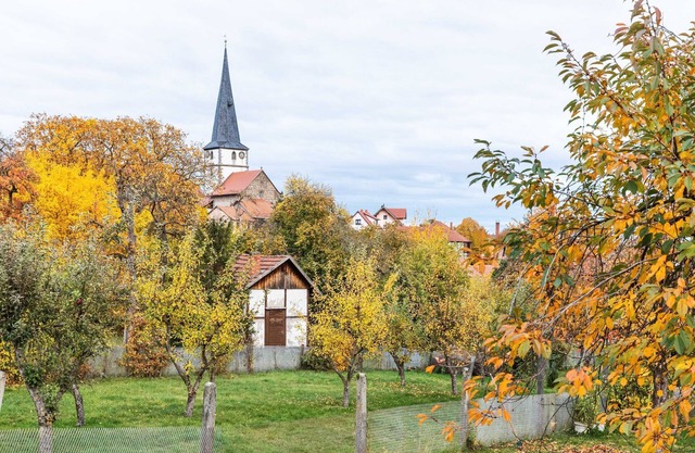 Holiday home in Thuringia with private terrace, use of a garden and pool