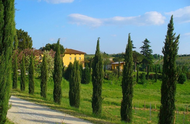 Holiday Home in Tuscany with Pool & Garden