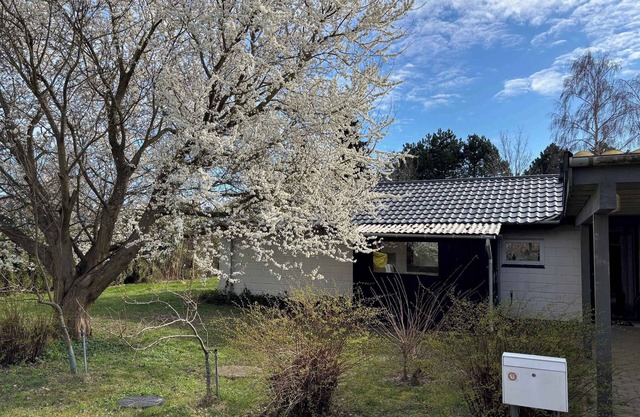 Holiday home near water, forest, and Møn's Cliffs