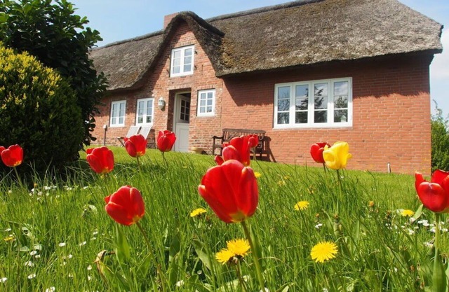 Holiday home Ockholm