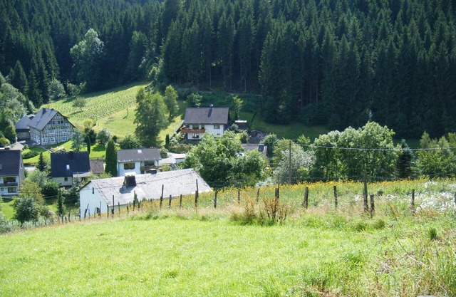 Holiday Home Rehsiepen near Winterberg