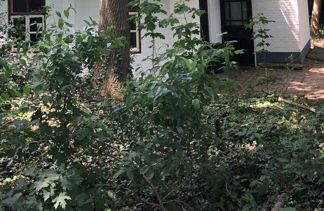 Holiday home Waldhaus