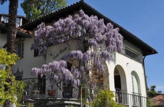 Holiday house Ronco sopra Ascona for 1 - 4 persons with 2 bedrooms - Holiday house