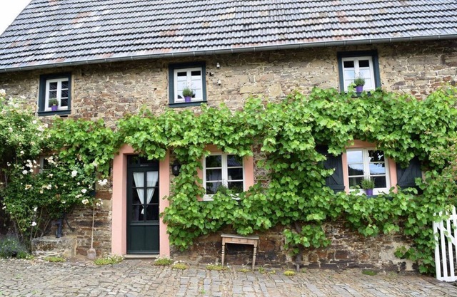 Holiday house "Altes Steinhaus" (max 9 persons) - Landhaus am Aremberg