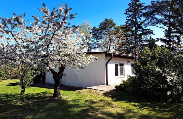 Holiday house Altwarp for 1 - 2 persons with 1 bedroom - Holiday home