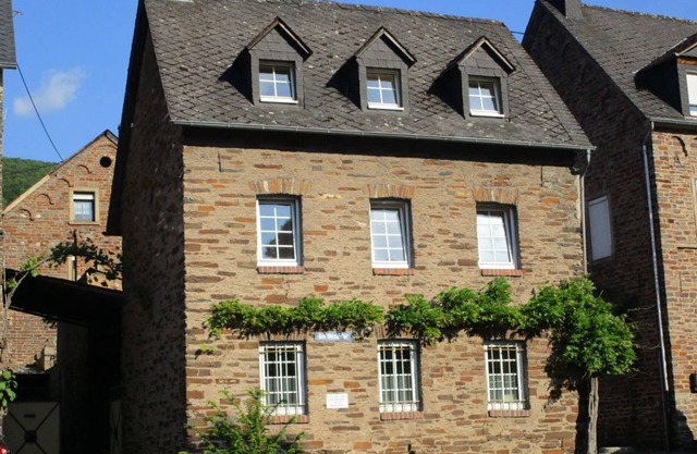 Holiday house "An den Moselwiesen"
