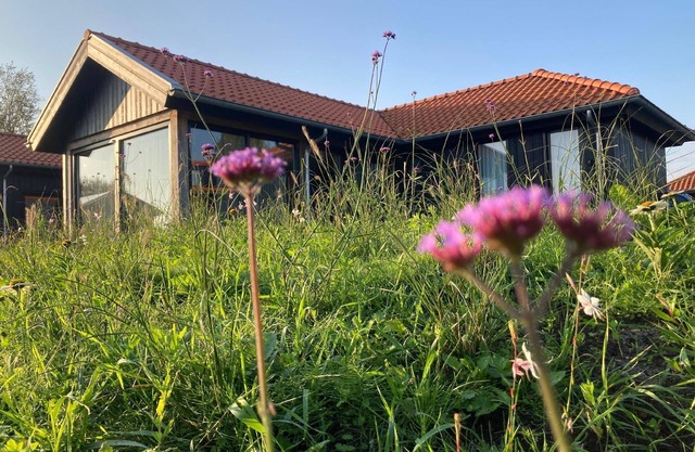 Holiday house Anjum for 1 - 4 persons with 2 bedrooms - Holiday house