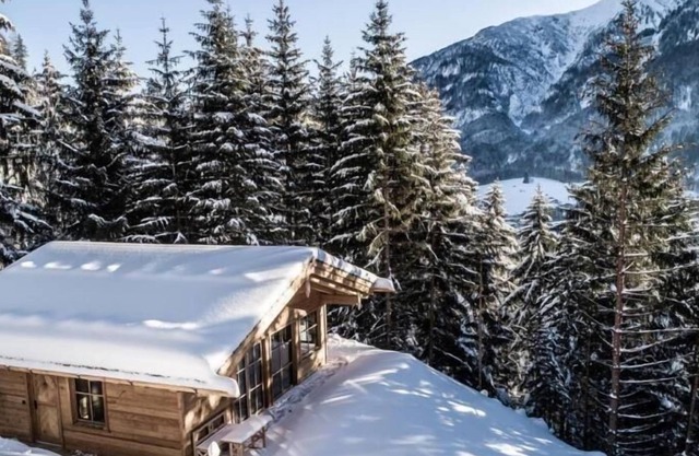 Holiday house Bach for 1 - 3 persons with 1 bedroom - Luxury holiday home