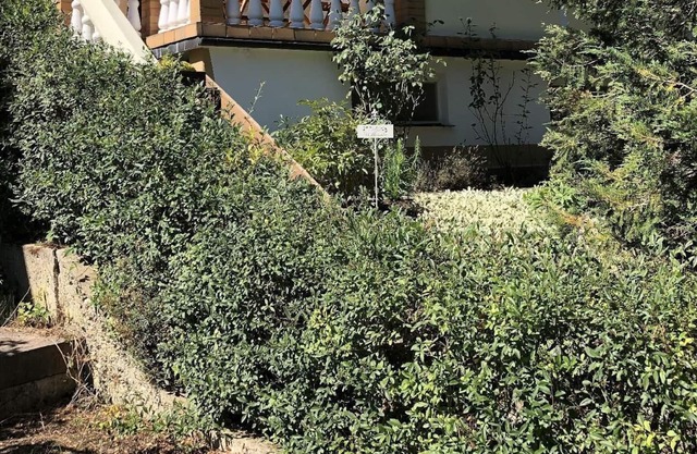 Holiday house Cammin for 1 - 2 persons with 1 bedroom - Holiday home