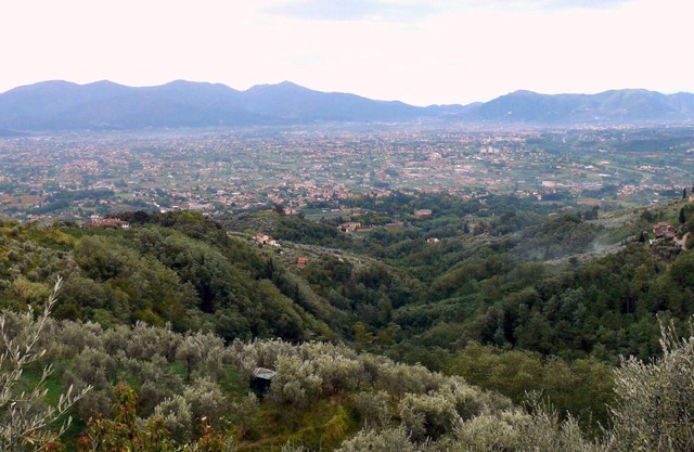 Holiday house Capannori for 1 - 8 persons with 4 bedrooms - Twin house