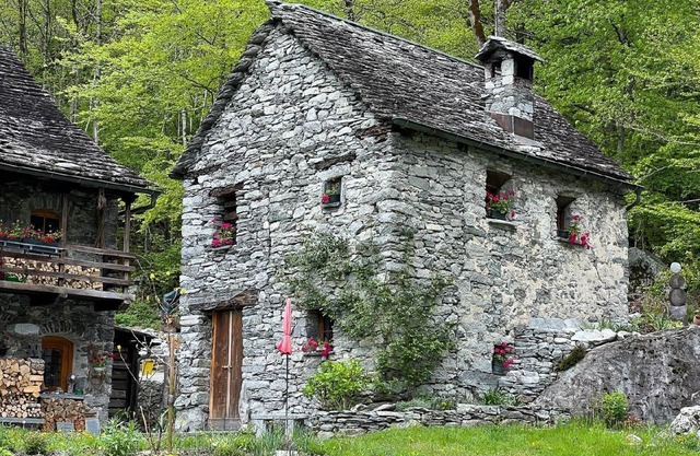 Holiday house Cavergno for 1 - 2 persons with 2 bedrooms - Holiday home