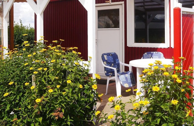 Holiday house dike view
