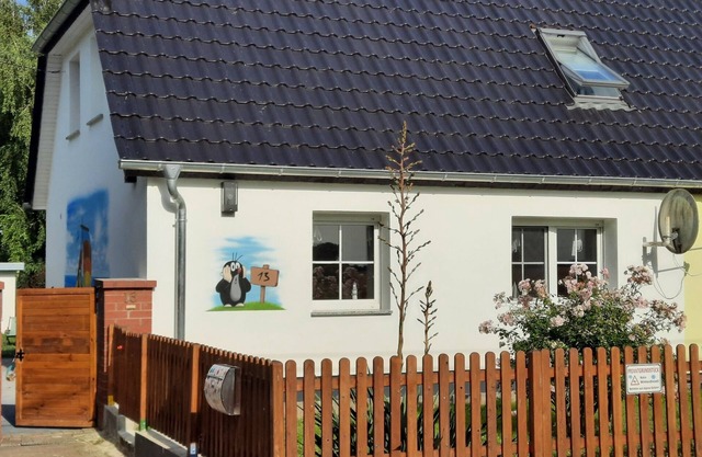 Holiday House (DHH) on Kubitzer Bodden with fireplace and large garden