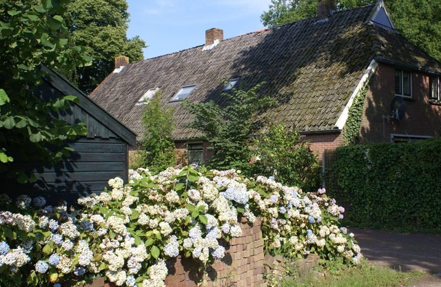 Holiday house Diever for 2 - 12 persons with 5 bedrooms - Twin house
