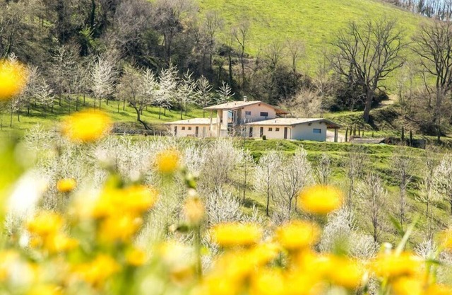 Holiday house Falerone for 1 - 19 persons with 7 bedrooms - Holiday home
