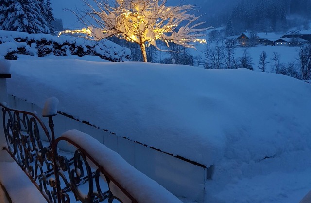 Holiday house for 12 guests with 170m² in Untertauern (131225)