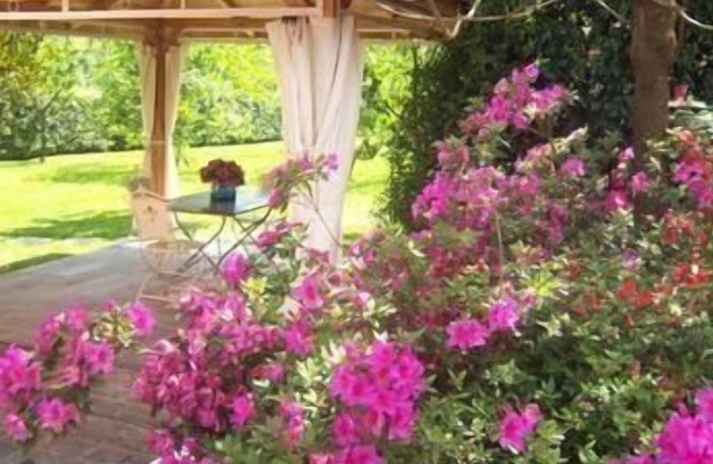 Holiday house Gallicano for 1 - 2 persons with 1 bedroom - Holiday home