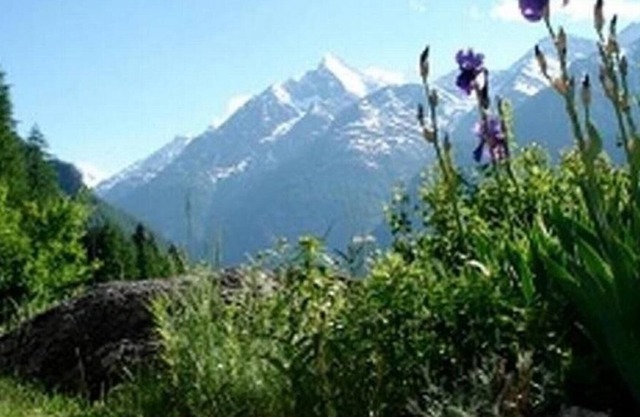 Holiday house Grächen for 4 - 9 persons with 4 bedrooms - Holiday house