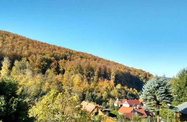 Holiday house "Haus Sommerstieg" in the middle of the Thuringian Forest