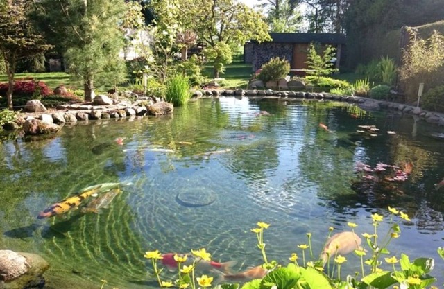 Holiday house in a charming and fantastic location on Lake Plauer for 4 people