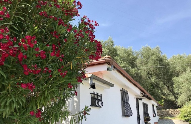Holiday house Diano San Pietro for 1 - 4 persons - Holiday home