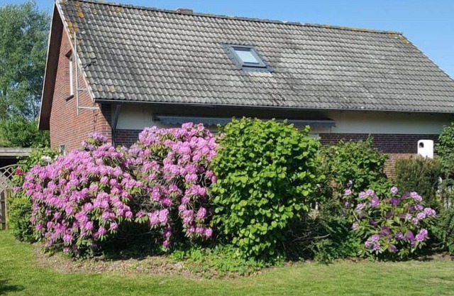 Holiday house Jade for 1 - 6 persons with 3 bedrooms - Holiday house