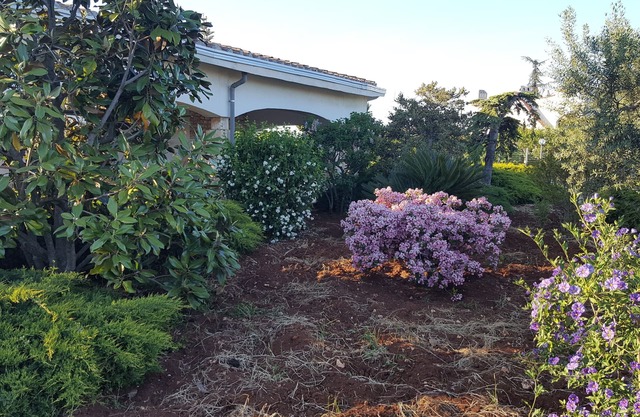 Holiday house La civetta Rodonisa