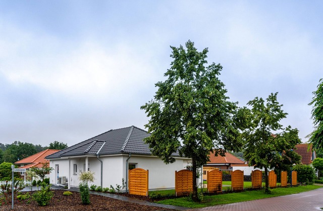 Holiday house "Linde1" in the district of Celle