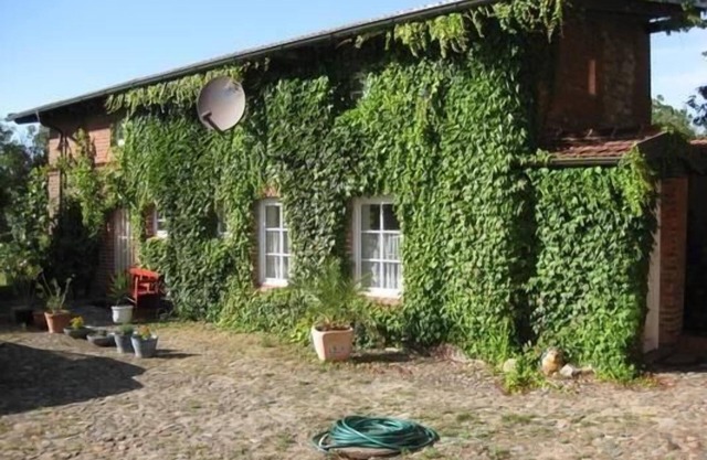 Holiday house Lindow for 1 - 2 persons with 1 bedroom - Holiday home