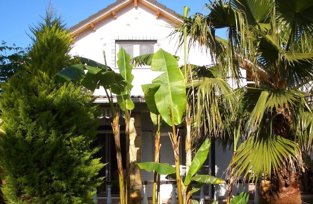 Holiday house Loutsa for 1 - 9 persons with 4 bedrooms - Holiday house