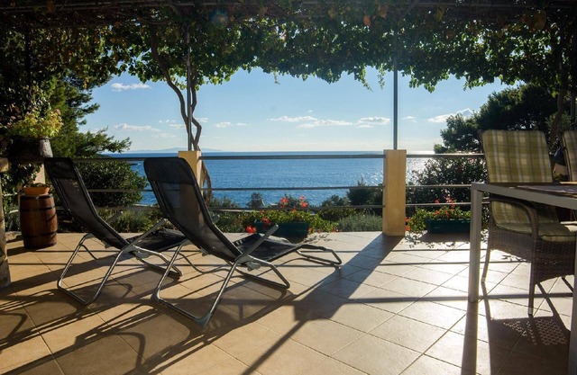 Holiday house Maslinica for 1 - 4 persons with 2 bedrooms - Holiday house