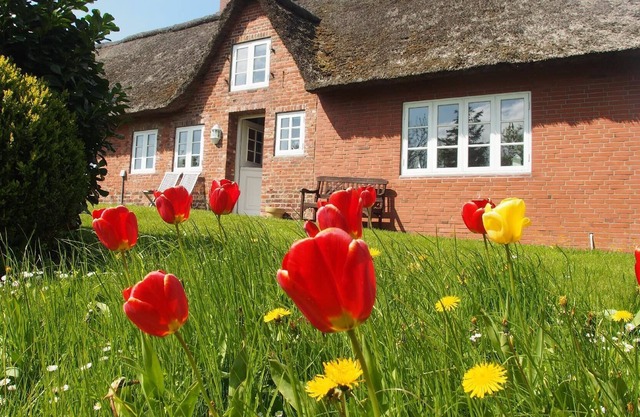 Holiday house Ockholm for 1 - 8 persons with 4 bedrooms - Row house