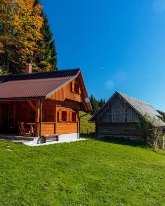 Holiday house Pokrovec - Bohinj