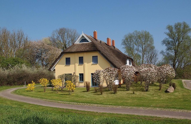 Holiday house Puddemin for 1 - 6 persons with 3 bedrooms - Row house