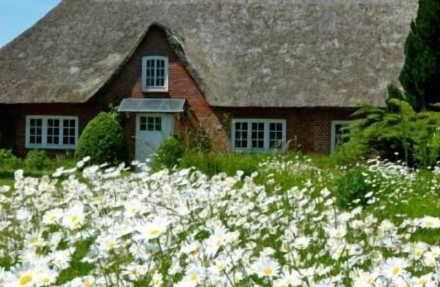 Holiday house Riepsdorf for 1 - 8 persons with 4 bedrooms - Holiday home