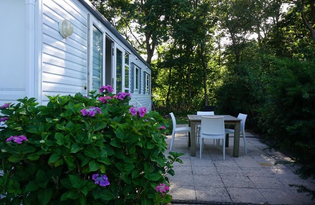 Holiday house 's-Gravenhage for 1 - 4 persons with 2 bedrooms - Holiday home