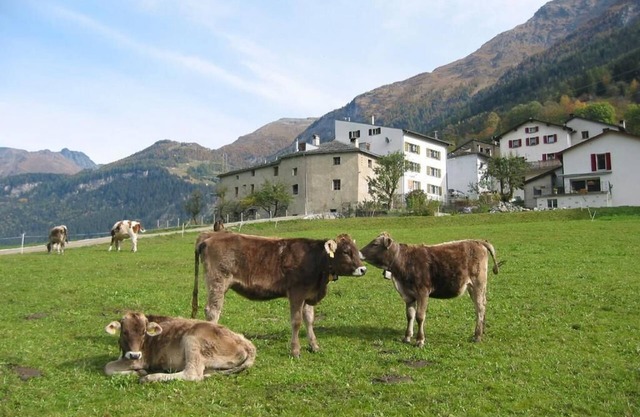 Holiday house San Carlo for 2 - 12 persons with 3 bedrooms - Farmhouse