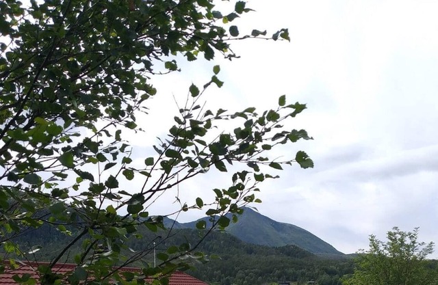 Holiday house Tustna for 2 - 6 persons with 4 bedrooms - Twin house