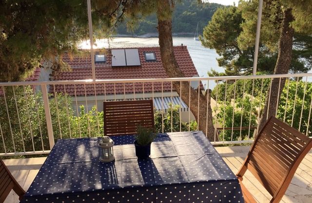 Holiday house Vanesa - 50m from the sea: - Stomorska, Island Solta, Croatia
