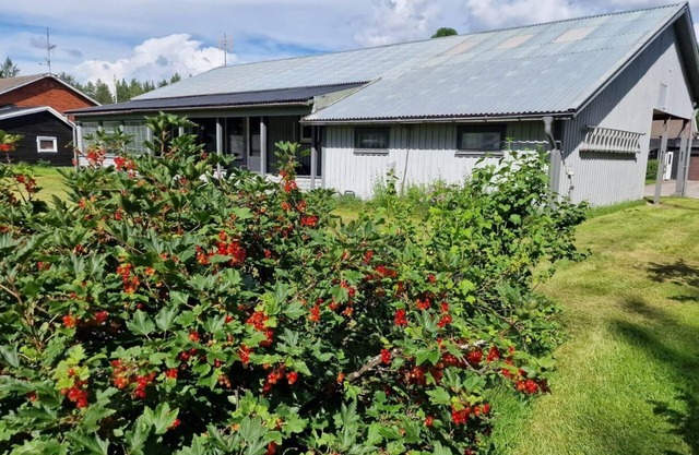 Holiday house Vidsel for 1 - 6 persons with 3 bedrooms - Holiday house
